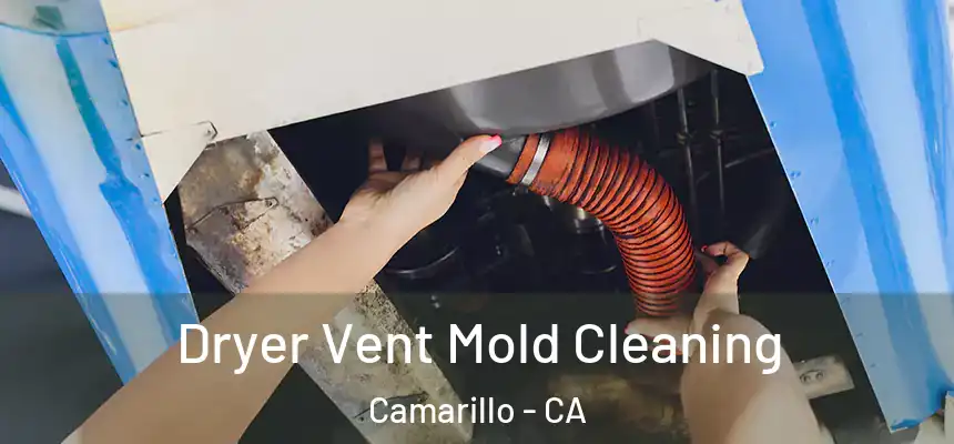 Dryer Vent Mold Cleaning Camarillo - CA