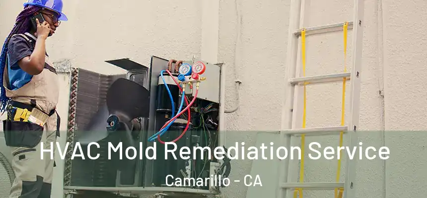 HVAC Mold Remediation Service Camarillo - CA