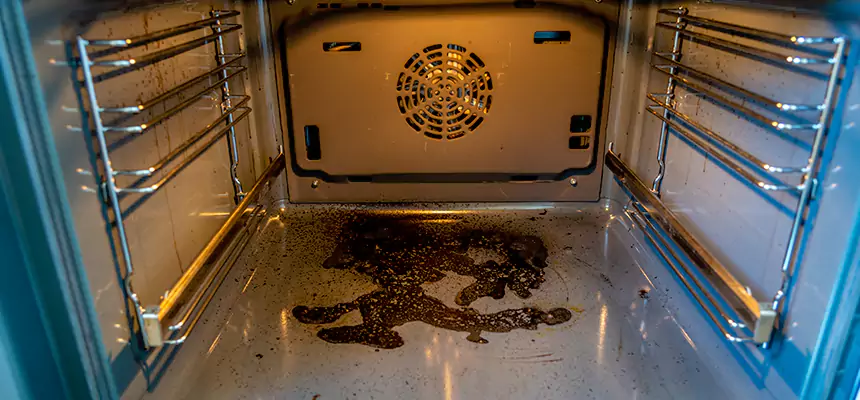 Our Dryer Vent Mold Cleaning Services in Camarillo, CA