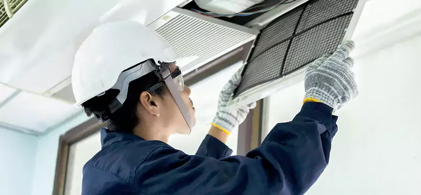 Our Mold & Mildew Removal from Air Ducts Services in Camarillo, CA