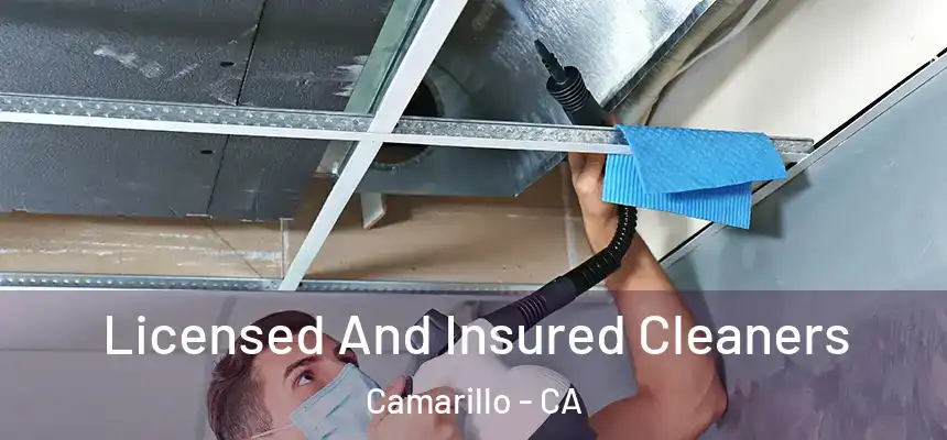 Licensed And Insured Cleaners Camarillo - CA