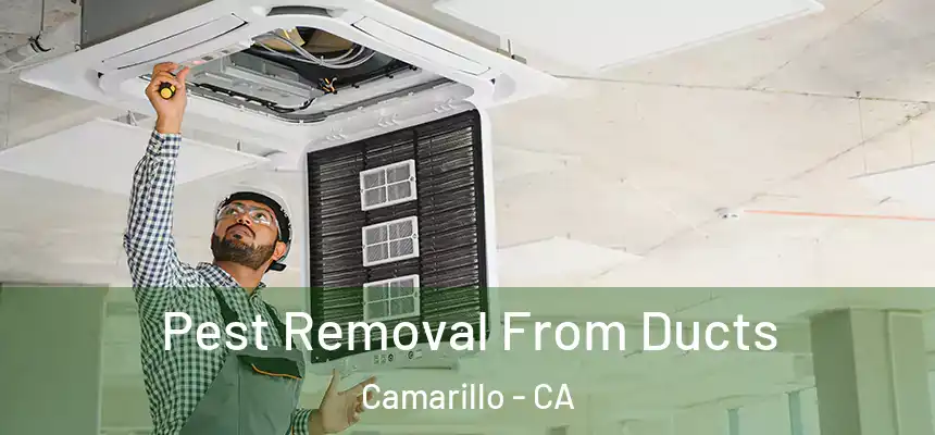 Pest Removal From Ducts Camarillo - CA