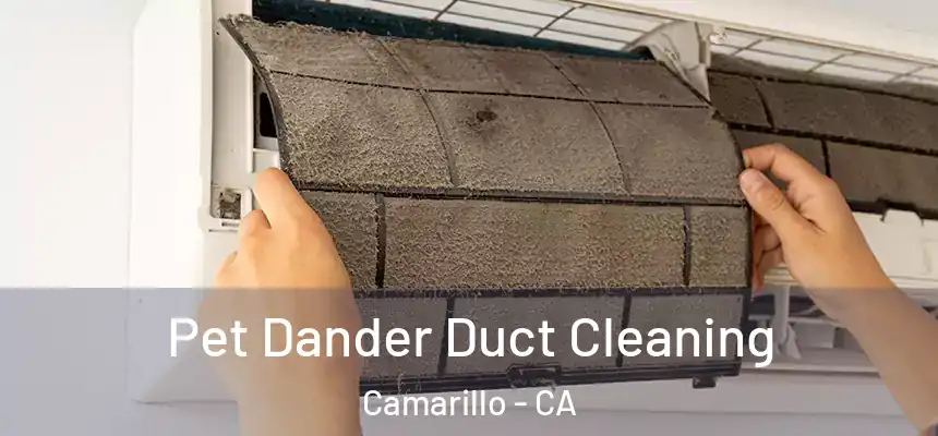 Pet Dander Duct Cleaning Camarillo - CA