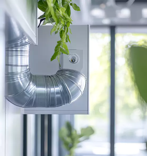 Professional Eco-Safe Dryer Vent Cleaning in Camarillo, CA