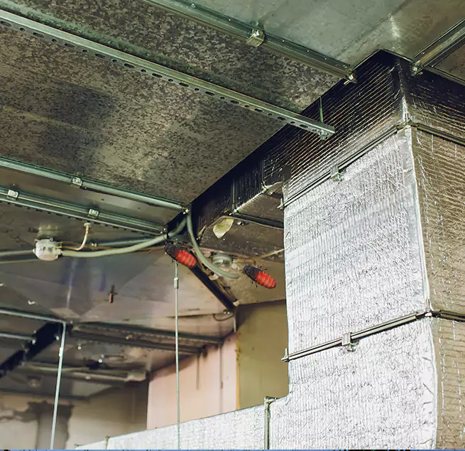 Why Homeowners & Businesses Trust Us in Camarillo, CA?