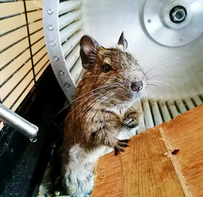 Why Homeowners & Businesses Trust Us Camarillo, CA