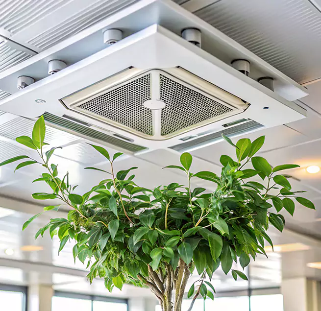 Why Homeowners & Businesses Trust Us in Camarillo, CA?