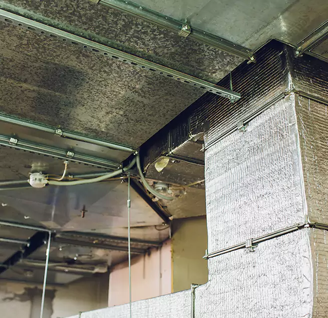 Why Homeowners & Businesses Trust Us in Camarillo, CA?